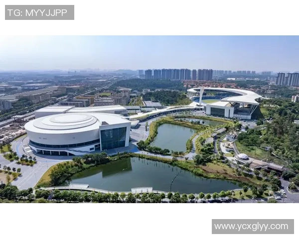 佛山南海足球场全新升级打造足球文化新地标助力青少年成长与发展